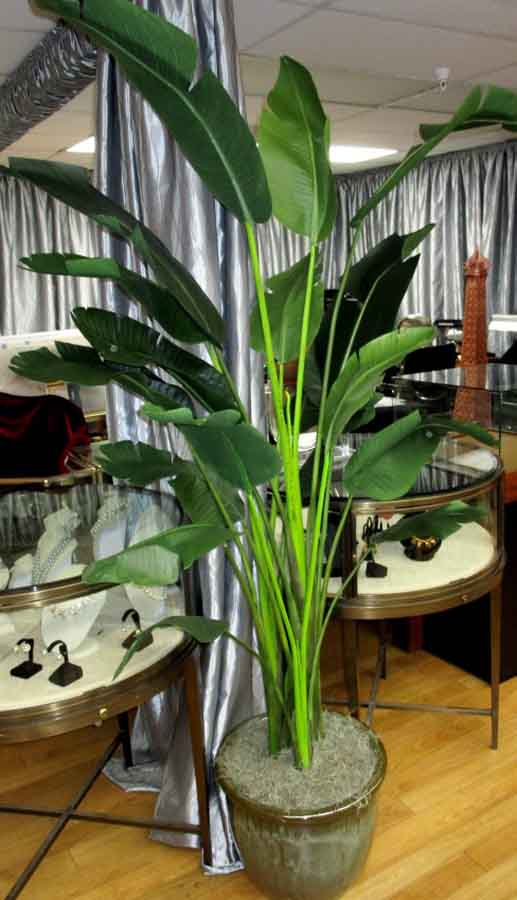 BANANA PALM TREE in PLANTSARTIFICIAL