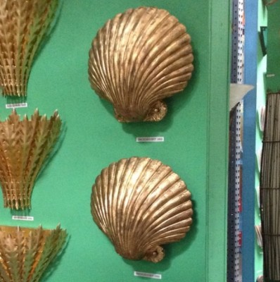 SEA SHELL
