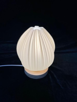 **WHITE OVAL SPIRAL
