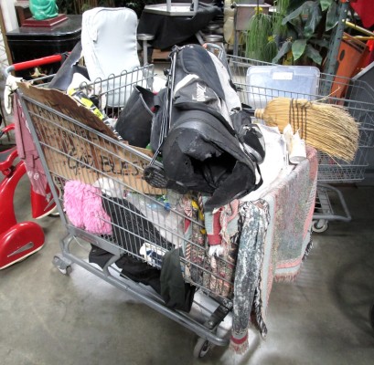 HOMELESS SHOPPING CARTS
