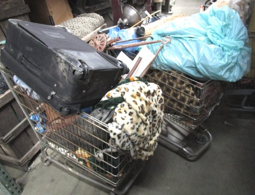 HOMELESS SHOPPING CARTS