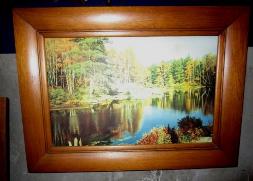 AUTUMN SCENE