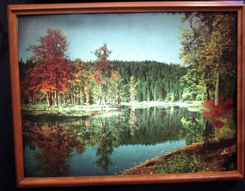 AUTUMN SCENE