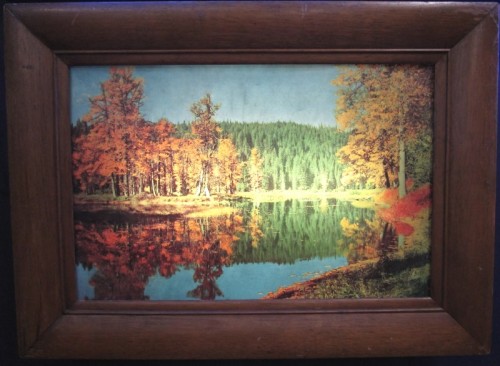AUTUMN SCENE