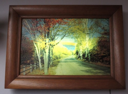 COUNTRY ROAD SCENE