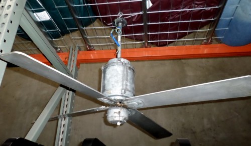 CEILING FAN