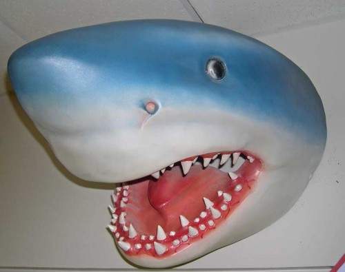 SHARK HEAD